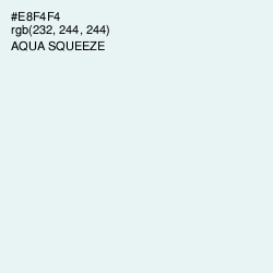 #E8F4F4 - Aqua Squeeze Color Image